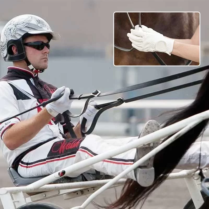 Riding Gloves: Precision, Protection & Performance