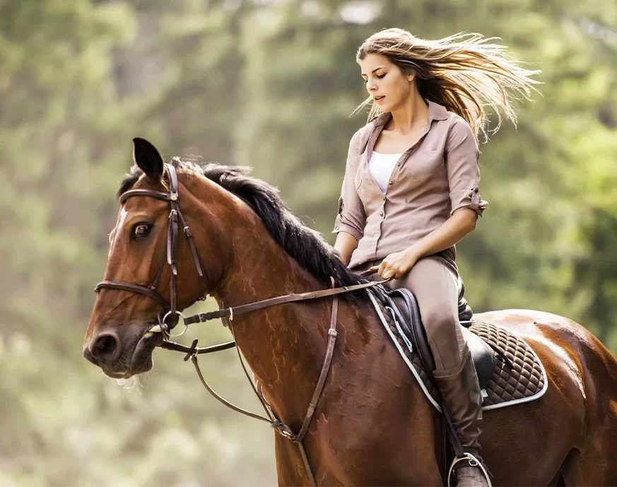 Riding Gloves