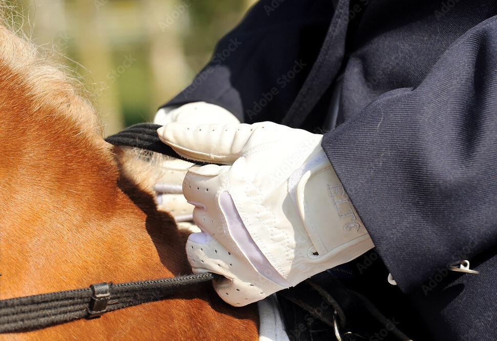 equestrian gloves, clean, care, maintenance