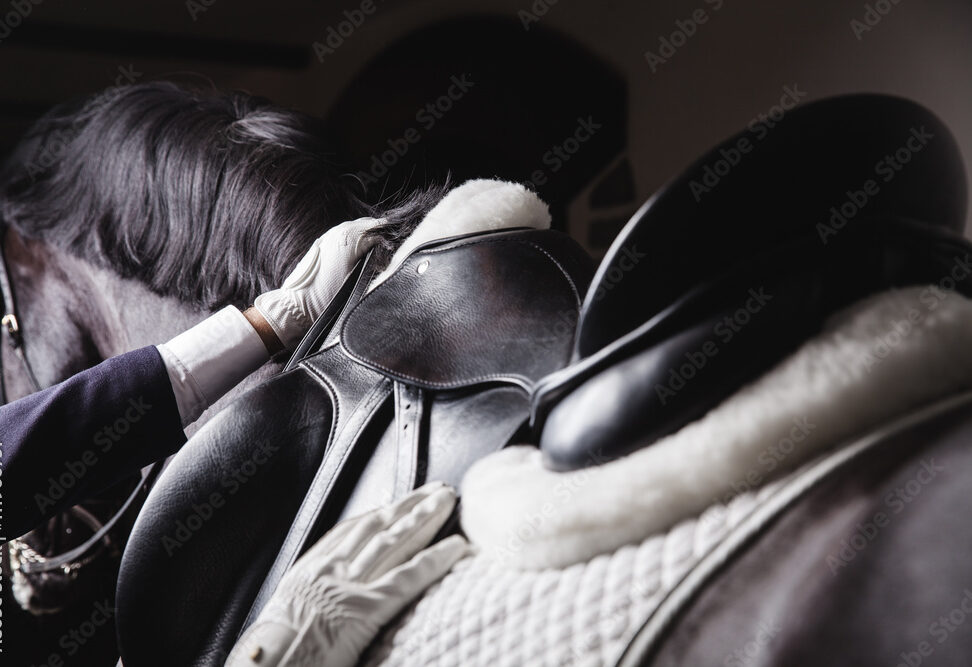 equestrian_gloves_material equestrian gloves, material, horse, texture