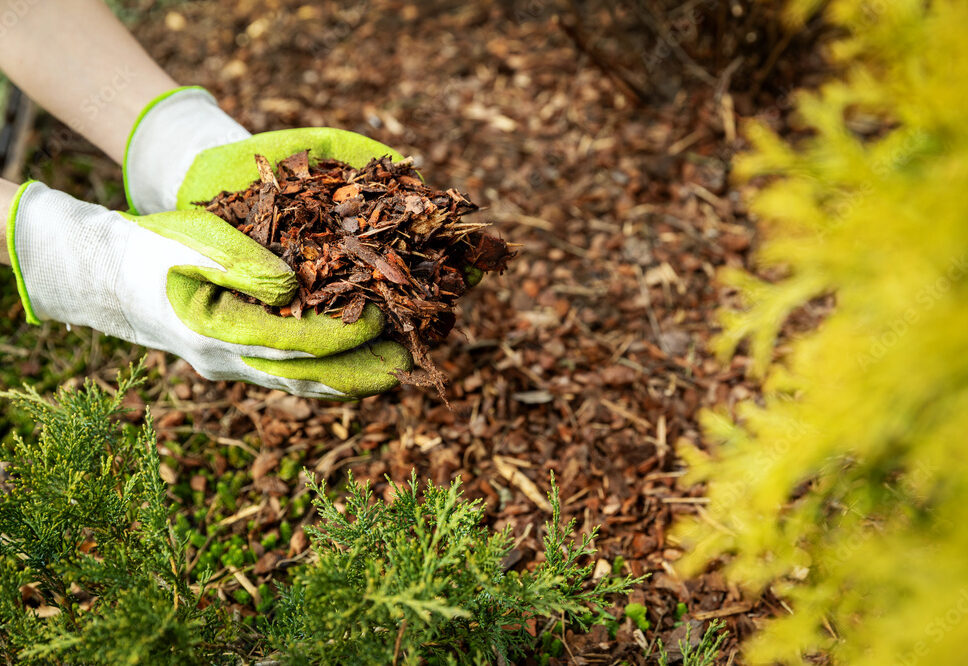 landscaping gloves 2