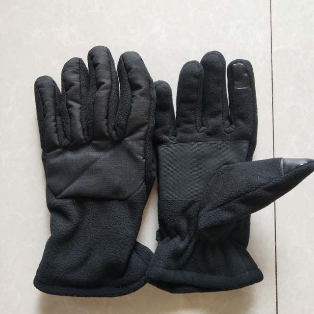 Fleece Glove g1